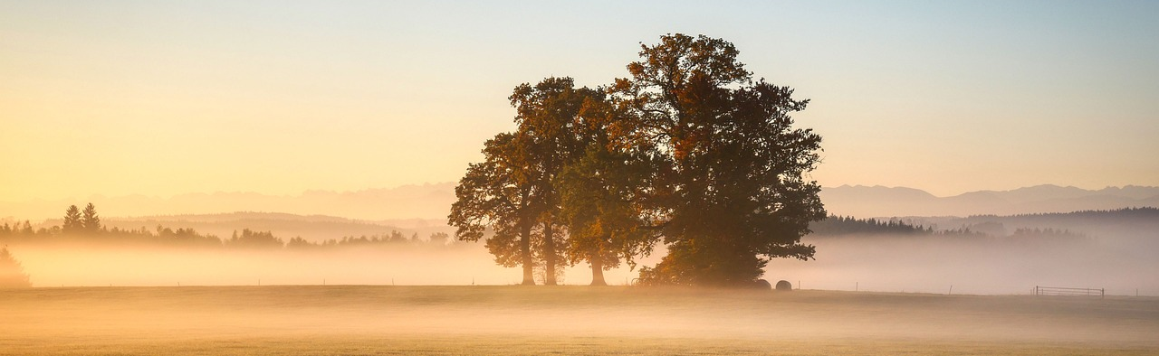 Landschaft