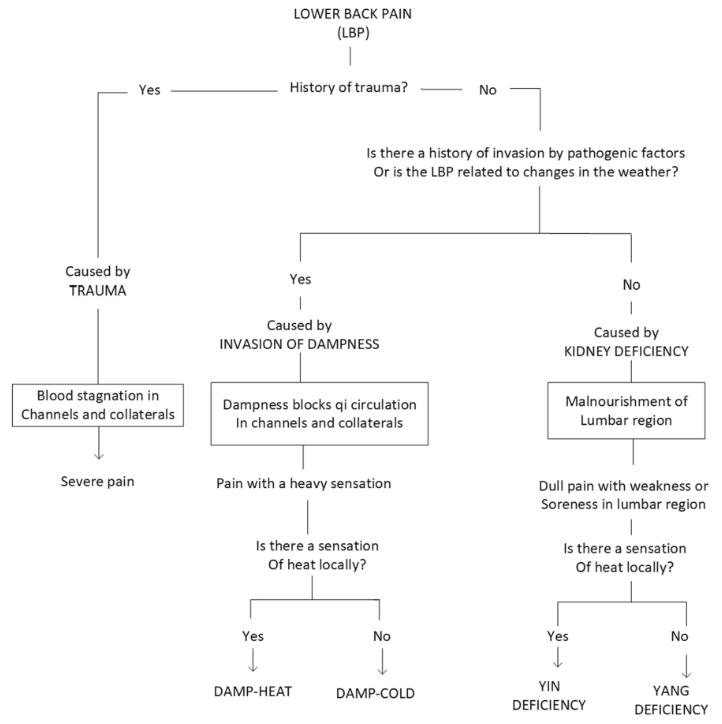 Diagnose-Schema Unterer Rückenschmerz (Low Back Pain, LBP)